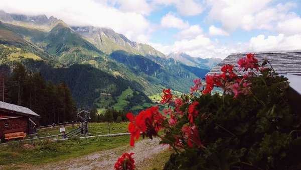 Almhütte Marcher Alm auf 1.700m