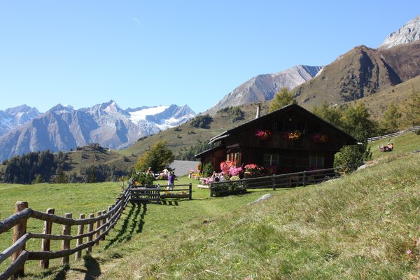 Habererhof in Virgen Biobauernhof