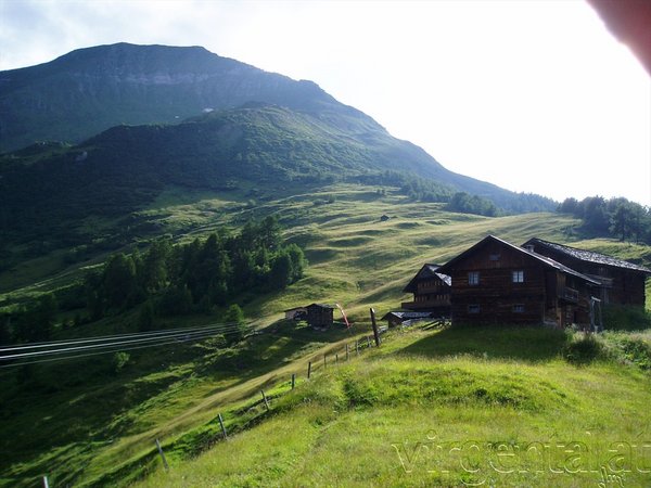 Bergeralm in Virgen 1.845m