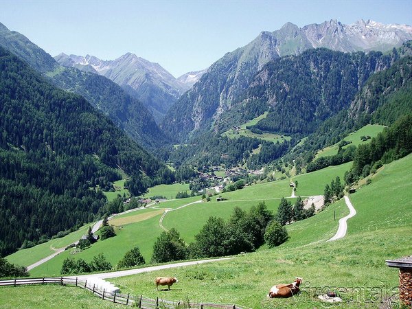 Bergheimat - Bergbauernhof