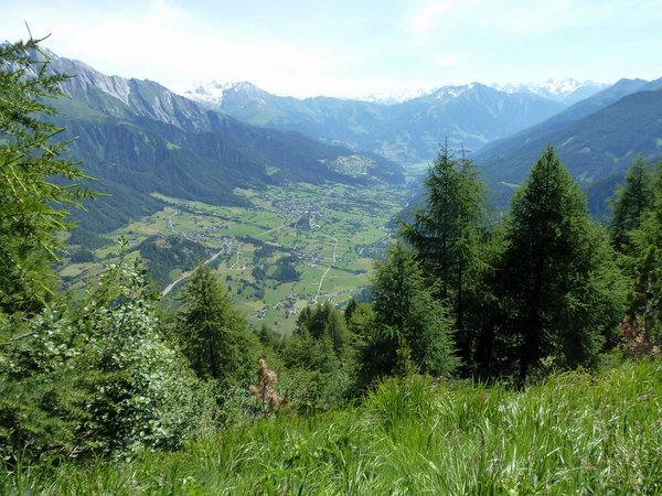 Almhütte Marcher Alm auf 1.700m