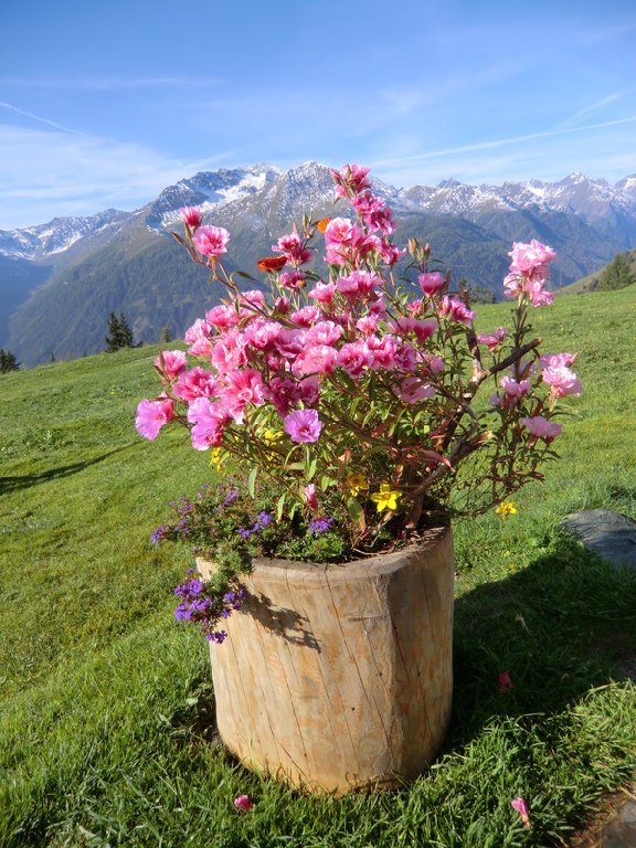 Gottschaunalm 1.943m