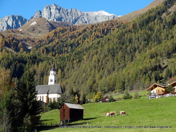 Grosslercher Almhütte Goisnalm 1.650m