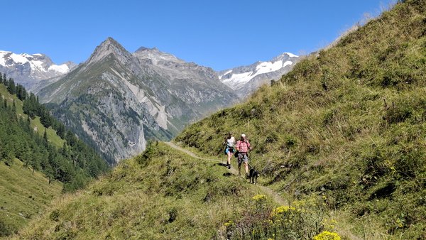 Lasnitzenhütte 1900m