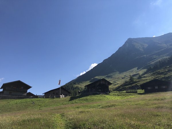 Innere Steiner Alm 1.770m