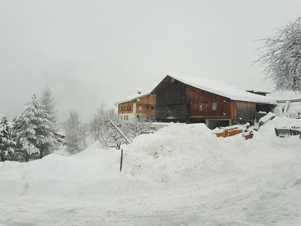 Gästehaus Bergwald