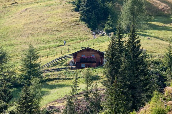 Grosslercher Almhütte Goisnalm 1.650m