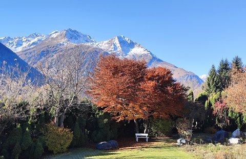 Bronte Haus