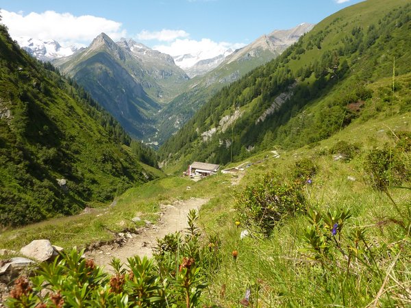 Lasnitzenhütte 1900m