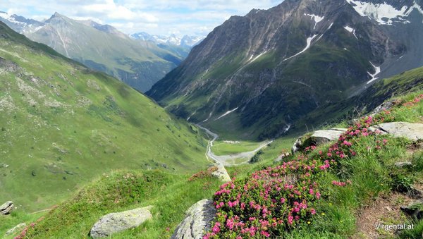 Zedlacher Alm 1.842m