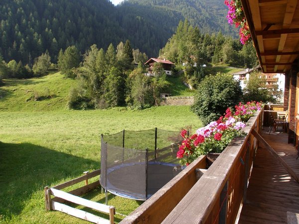 Gästehaus Dorer in Hinterbichl