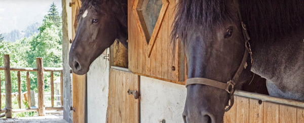 Landgasthof Archehof Steiner
